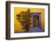 Mexico, San Miguel de Allende, Doorway with Flowering Bush-Terry Eggers-Framed Photographic Print