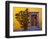 Mexico, San Miguel de Allende, Doorway with Flowering Bush-Terry Eggers-Framed Photographic Print