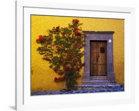 Mexico, San Miguel de Allende, Doorway with Flowering Bush-Terry Eggers-Framed Photographic Print