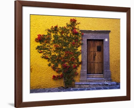 Mexico, San Miguel de Allende, Doorway with Flowering Bush-Terry Eggers-Framed Photographic Print