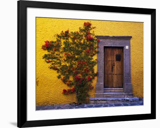 Mexico, San Miguel de Allende, Doorway with Flowering Bush-Terry Eggers-Framed Photographic Print