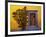 Mexico, San Miguel de Allende, Doorway with Flowering Bush-Terry Eggers-Framed Photographic Print