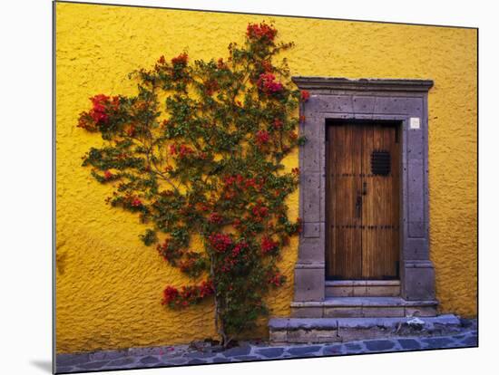 Mexico, San Miguel de Allende, Doorway with Flowering Bush-Terry Eggers-Mounted Photographic Print
