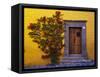 Mexico, San Miguel de Allende, Doorway with Flowering Bush-Terry Eggers-Framed Stretched Canvas