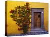 Mexico, San Miguel de Allende, Doorway with Flowering Bush-Terry Eggers-Stretched Canvas