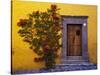 Mexico, San Miguel de Allende, Doorway with Flowering Bush-Terry Eggers-Stretched Canvas