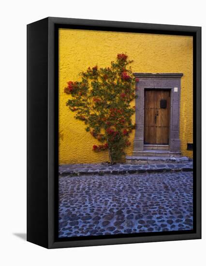 Mexico, San Miguel de Allende, Doorway with Flowering Bush-Terry Eggers-Framed Stretched Canvas