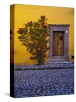 Mexico, San Miguel de Allende, Doorway with Flowering Bush-Terry Eggers-Stretched Canvas