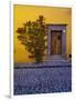 Mexico, San Miguel de Allende, Doorway with Flowering Bush-Terry Eggers-Framed Photographic Print