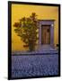 Mexico, San Miguel de Allende, Doorway with Flowering Bush-Terry Eggers-Framed Photographic Print