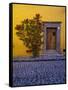 Mexico, San Miguel de Allende, Doorway with Flowering Bush-Terry Eggers-Framed Stretched Canvas