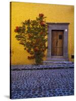 Mexico, San Miguel de Allende, Doorway with Flowering Bush-Terry Eggers-Stretched Canvas