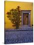 Mexico, San Miguel de Allende, Doorway with Flowering Bush-Terry Eggers-Stretched Canvas