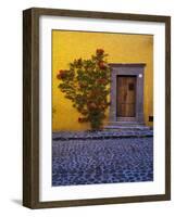 Mexico, San Miguel de Allende, Doorway with Flowering Bush-Terry Eggers-Framed Photographic Print