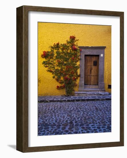 Mexico, San Miguel de Allende, Doorway with Flowering Bush-Terry Eggers-Framed Photographic Print