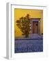 Mexico, San Miguel de Allende, Doorway with Flowering Bush-Terry Eggers-Framed Photographic Print