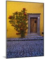 Mexico, San Miguel de Allende, Doorway with Flowering Bush-Terry Eggers-Mounted Photographic Print