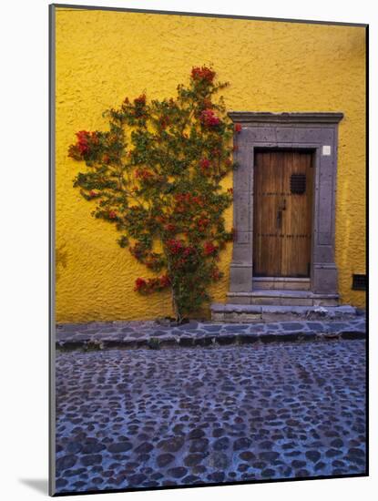 Mexico, San Miguel de Allende, Doorway with Flowering Bush-Terry Eggers-Mounted Photographic Print