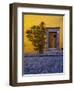 Mexico, San Miguel de Allende, Doorway with Flowering Bush-Terry Eggers-Framed Photographic Print