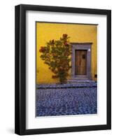 Mexico, San Miguel de Allende, Doorway with Flowering Bush-Terry Eggers-Framed Photographic Print