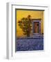 Mexico, San Miguel de Allende, Doorway with Flowering Bush-Terry Eggers-Framed Photographic Print