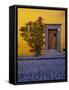 Mexico, San Miguel de Allende, Doorway with Flowering Bush-Terry Eggers-Framed Stretched Canvas