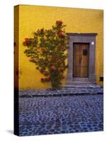 Mexico, San Miguel de Allende, Doorway with Flowering Bush-Terry Eggers-Stretched Canvas