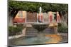 Mexico, San Miguel de Allende. Fountain in the Jardin.-Don Paulson-Mounted Photographic Print