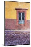 Mexico, San Miguel de Allende. Jacaranda blossoms carpet the cobblestones-Brenda Tharp-Mounted Photographic Print