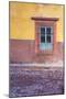 Mexico, San Miguel de Allende. Jacaranda blossoms carpet the cobblestones-Brenda Tharp-Mounted Photographic Print