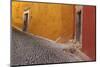 Mexico, San Miguel de Allende. Painted buildings on cobblestone street-Don Paulson-Mounted Photographic Print