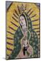 Mexico, San Miguel de Allende. Painting of The Virgin of Guadalupe.-Don Paulson-Mounted Photographic Print
