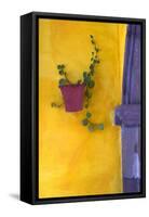 Mexico, San Miguel De Allende. Planted Pot on Wall-Jaynes Gallery-Framed Stretched Canvas