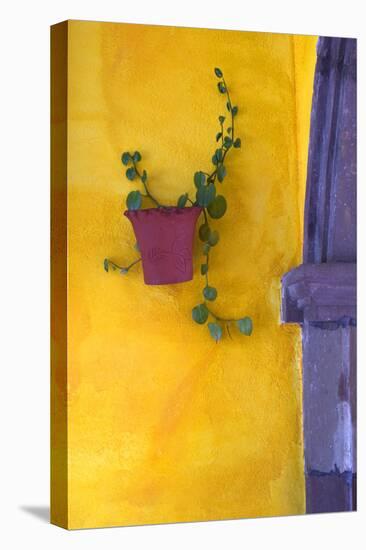 Mexico, San Miguel De Allende. Planted Pot on Wall-Jaynes Gallery-Stretched Canvas