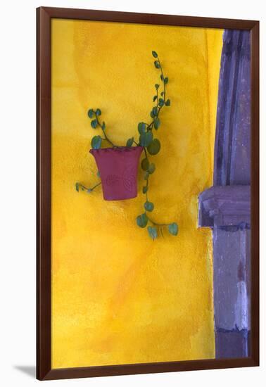 Mexico, San Miguel De Allende. Planted Pot on Wall-Jaynes Gallery-Framed Photographic Print