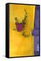 Mexico, San Miguel De Allende. Planted Pot on Wall-Jaynes Gallery-Framed Stretched Canvas