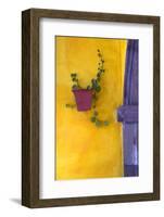 Mexico, San Miguel De Allende. Planted Pot on Wall-Jaynes Gallery-Framed Photographic Print