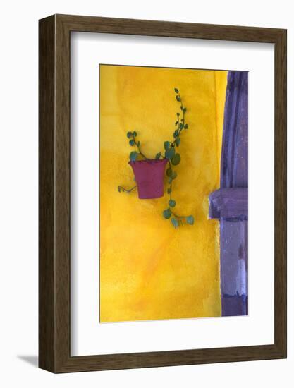 Mexico, San Miguel De Allende. Planted Pot on Wall-Jaynes Gallery-Framed Photographic Print