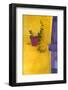 Mexico, San Miguel De Allende. Planted Pot on Wall-Jaynes Gallery-Framed Photographic Print