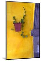 Mexico, San Miguel De Allende. Planted Pot on Wall-Jaynes Gallery-Mounted Photographic Print