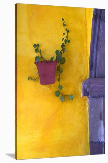 Mexico, San Miguel De Allende. Planted Pot on Wall-Jaynes Gallery-Stretched Canvas
