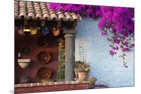 Mexico, San Miguel de Allende, Rooftop in San Miguel de Allende-Hollice Looney-Mounted Premium Photographic Print