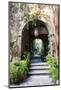 Mexico, San Miguel de Allende, Street archway.-Hollice Looney-Mounted Photographic Print