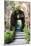 Mexico, San Miguel de Allende, Street archway.-Hollice Looney-Mounted Premium Photographic Print