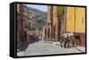 Mexico, San Miguel De Allende. Two Laden Donkeys on Sidewalk-Jaynes Gallery-Framed Stretched Canvas