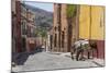 Mexico, San Miguel De Allende. Two Laden Donkeys on Sidewalk-Jaynes Gallery-Mounted Photographic Print