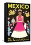 Mexico, The Land of Charm, Lady in Native Dress-null-Framed Stretched Canvas