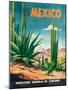 Mexico Travel-unknown Pruitt-Mounted Art Print