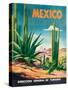 Mexico Travel-unknown Pruitt-Stretched Canvas