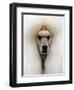 Mexico World Dog Show 2007-Eduardo Verdugo-Framed Premium Photographic Print